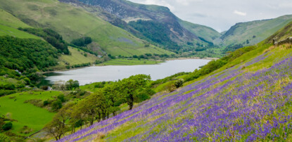 Flowers From The Valleys